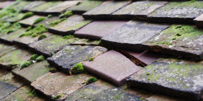 Wheeler End roof repair costs